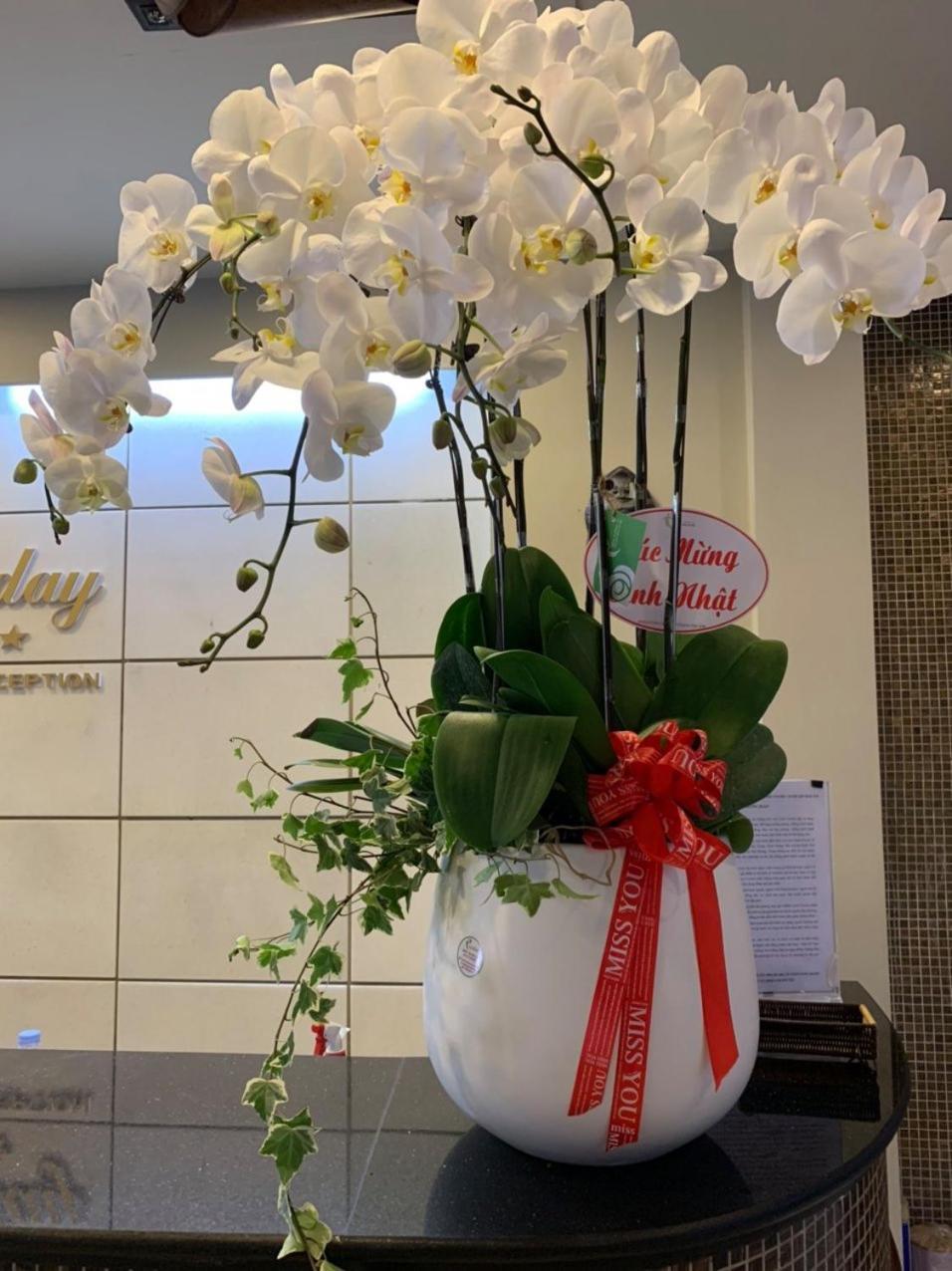 Holiday Hotel Hai Phong Buitenkant foto